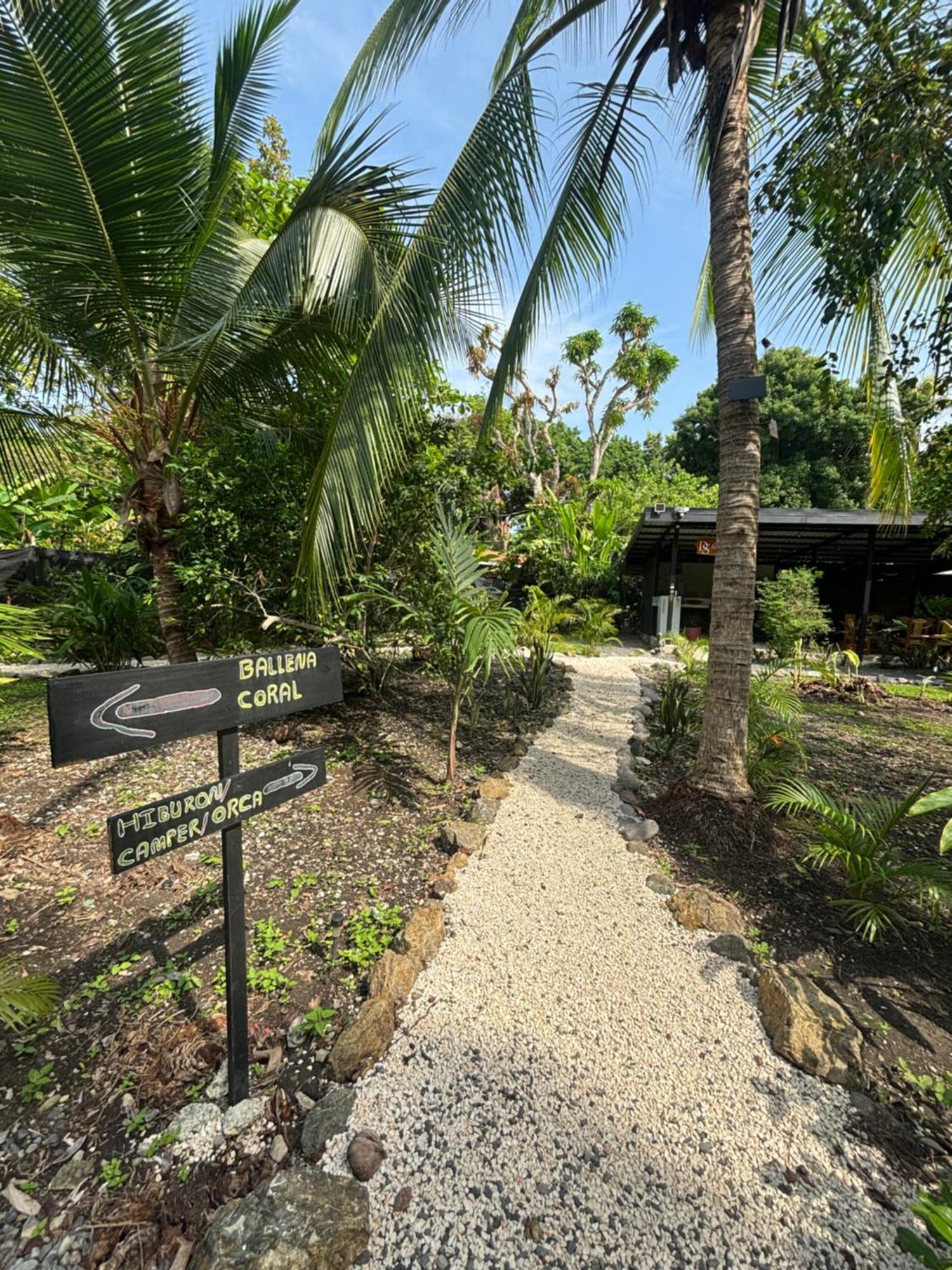Ds House Hotel Cabuya  Exterior foto