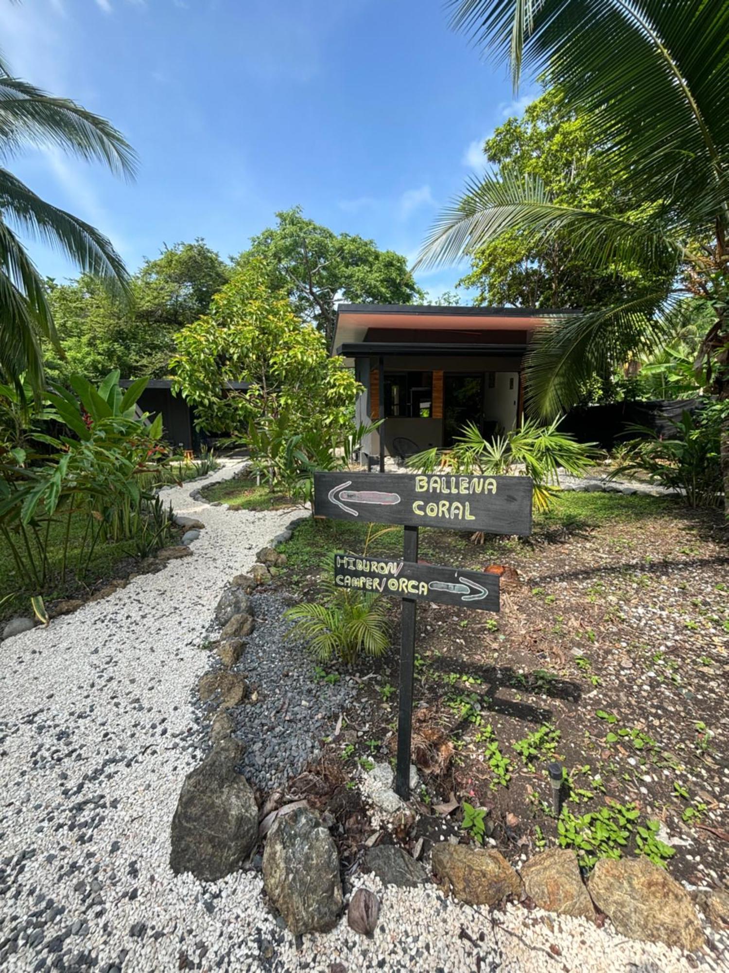 Ds House Hotel Cabuya  Exterior foto